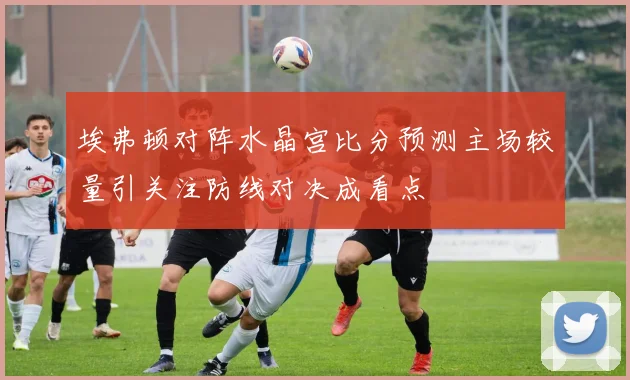 埃弗顿对阵水晶宫比分预测主场较量引关注防线对决成看点