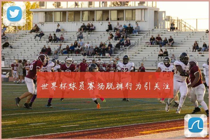 世界杯球员赛场脱裤行为引关注