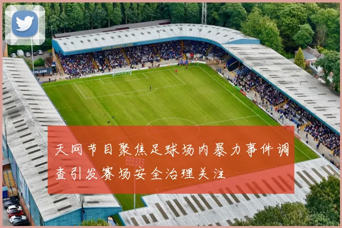 天网节目聚焦足球场内暴力事件调查引发赛场安全治理关注