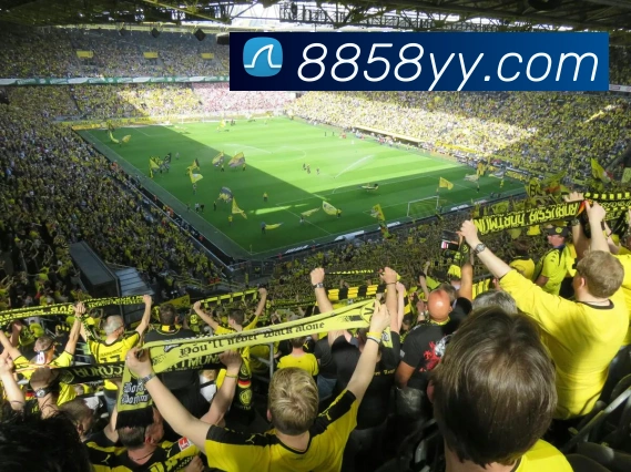 体育网官网登录入口品牌故事