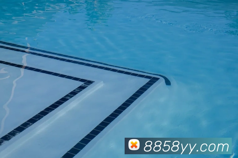 体育网官网登录入口服务体系